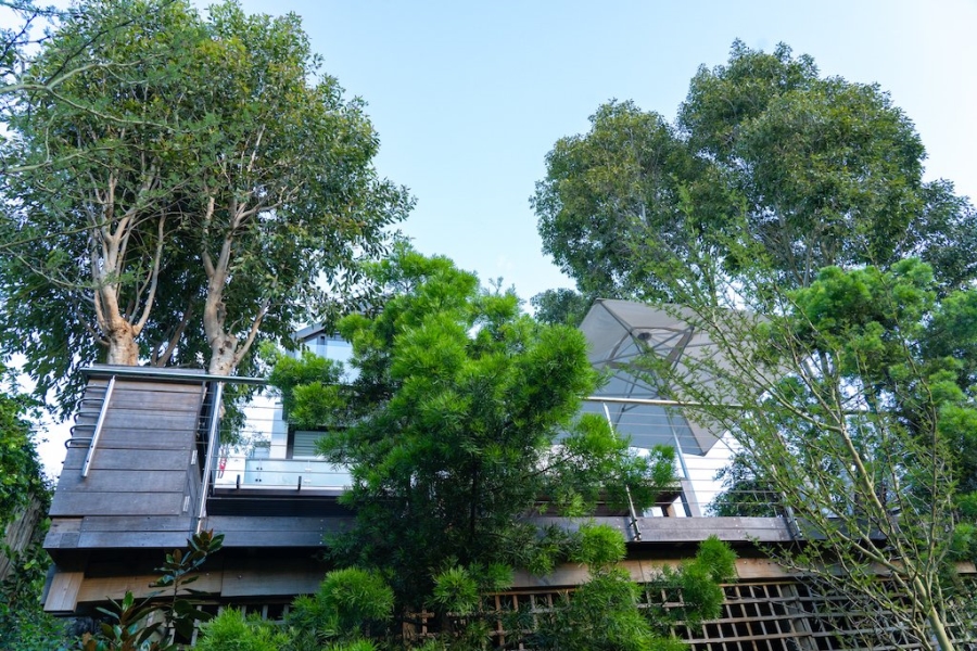 To Let 4 Bedroom Property for Rent in Newlands Western Cape